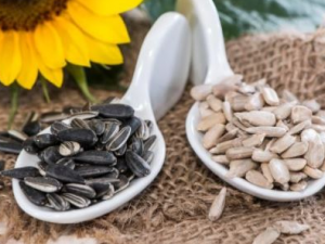 ������������� ��Щ��ʳ����ʳ��