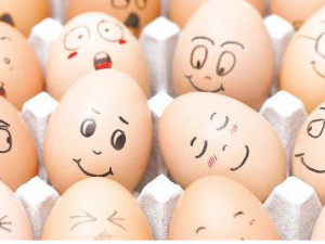 ��������Щ��Ч��֪���� �Ͻ����˽�һ�°�