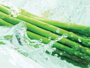 ���Ԥ�����ٰ� Ԥ�����ٰ��ļ����߲�