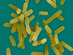 ����ˮ�Ĺ�Ч ����ˮ��С���������ȶ���