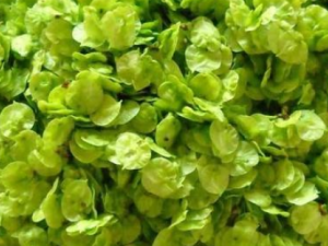 ������η���׳�� С���Ƽ����˷���׳����3���߲�