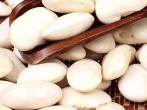 �ױⶹ��Ĺ�Ч �ױⶹ����ű��