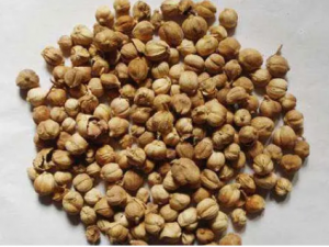 ��ޢɢ�Ĺ�Ч ��ޢɢ����������