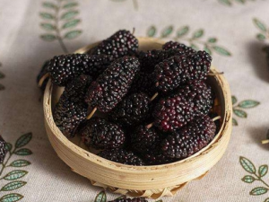 Ѫ��Ӧ�����ʳ Ѫ���ʲô����