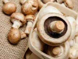 ��ͷ�����˻᳤���� �ɺ�ͷ�������Բ�����θ