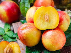 ���Ӻ�����һ��Ի��ж���