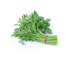 ƶѪ���Գ������� ƶѪ��ʲô�߲˺�