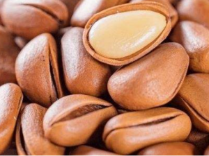 ���ӵ�Ӫ����Ч �����ӻ��ϻ���