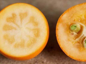 �庮ʪ�����ܳԽ���� ��۵�Ӫ����Ч