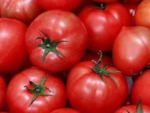 ���������������� ��������������������