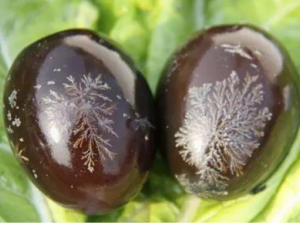 �ɻ�����ô��ѡ �ɻ����Զ�����ʲôΣ��