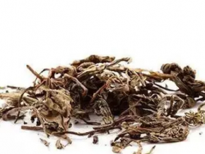 ���ѵĹ�Ч ��������Ѫȡ�ѻ�