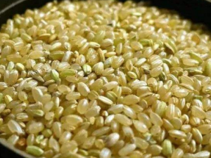 �����׵Ĺ�Ч ������������