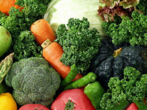 ������ʳ�����Ľ��� ���˽������