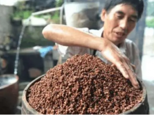 �ᵹ굵Ĺ�Ч �ᵹ�����θ��θ����