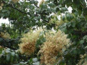 �����ӵĹ�Ч ���������ڿ���