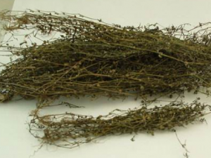 ������Ĺ�Ч ��������������ʹ