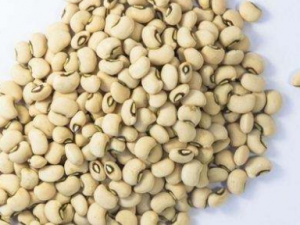 ���Ե���ҩ���� ���������ȷ��ҩ