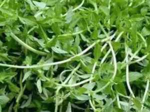 �Ի������ʲô���� ��֪����