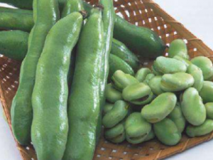 �����߲˵�Ӫ����Ч ���ѡ�����߲�