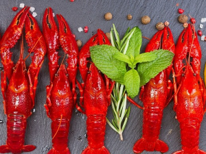 �����Ժ��ʵĺô� ��Щ���ʿɰ���Ԥ������