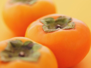 ���ӵ�ʳ�ý��� �������ӵ�����ע����