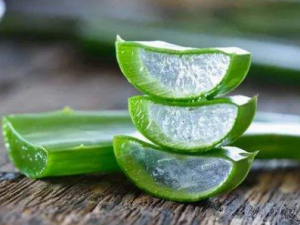 �и��ܳ�«���� «���������빦Ч