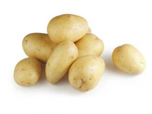 �������ܺ�ʲôһ��� ������ʳ�ý���