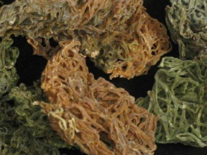 ���۵Ĺ�Ч ���ۿ����������