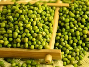 �̶���������Щʳ�����ʳ��