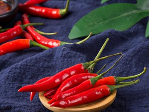 ��״�ٲ��˲��ܳ�ʲô ��״�ٲ������ע����ʳ