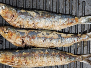 ��ֹ��ҩ����ЩҪע��� ��ֹ��ҩ�ڼ����ʳ����