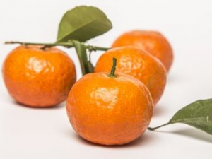 �ܹ���׵�ʳ������Щ ����Щʳ��ɱ��