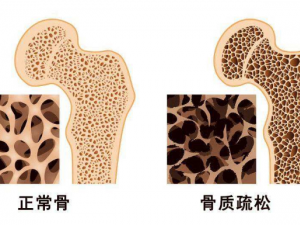 �������ɻ���Ӧ�ó�Щʲô