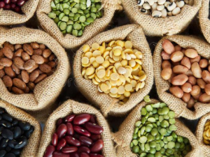 ����8������ⷦ��ʳ��