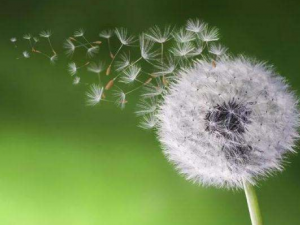 �ѹ�Ӣ��ˮ�ȵ��������