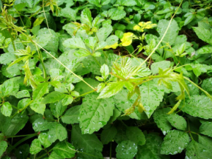 �ʹ�������Щ������