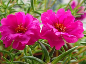 ��ҩ��ʱ����ҩ�ü�ֵ