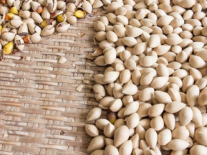 ����ʳ���Ӫ����Ч  ����ʳ��ɷ�ֹѪ��Ӳ��