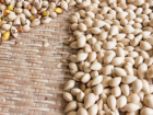 豆类食物的营养功效  豆类食物可防止血管硬化