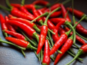 �����˳�����Ҫ���� һ����������