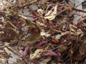 ������ҩ����Щ С���Ƽ�������ļ���������ҩ