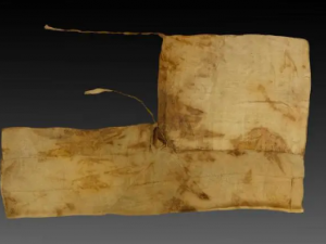 糲��Ĺ�Ч 糲���������