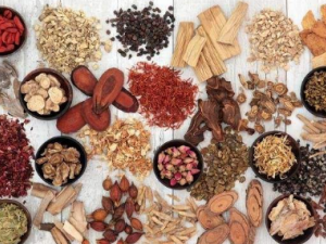 ������Ĺ�Ч ����������������