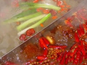 �̻������ЩҪע��� �̻����ñ𳬹�һСʱ