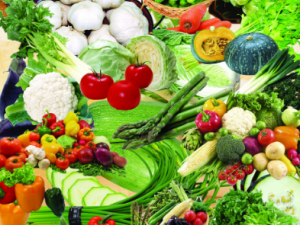 ����ɳ�����ʳ�ø����� ����ɳ��ʳ�ò����׷���