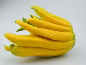 ���ָ����Ĺ�Ч ���ָ��������ڸ�θ����֮�丹��ʹ��֢