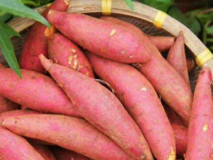 θ���õ���Ҫ��ô���� θ���ó�ʲô�ɵ���