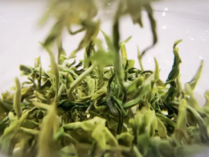 ��ǰ��Ĺ�Ч ��ǰ��������֧������