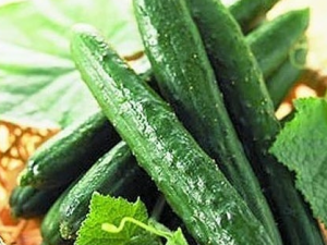 �ƹϻ�������������к